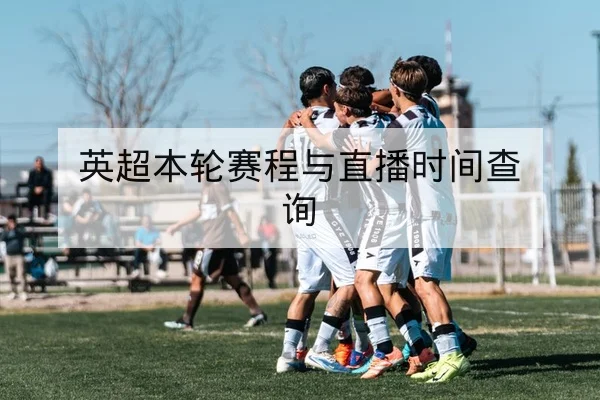 世界杯淘汰赛首发预测与伤病名单实时更新